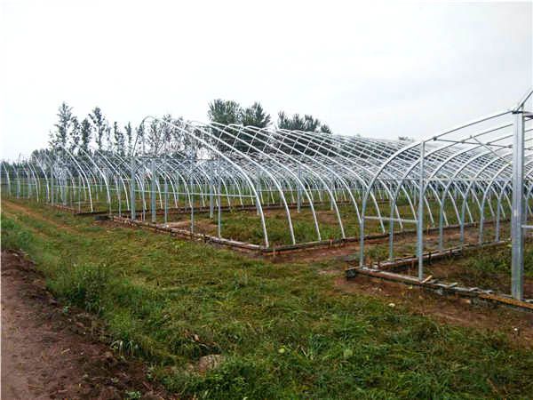 玻璃智能溫室骨架